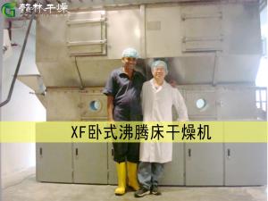 XF臥式沸騰床干燥機